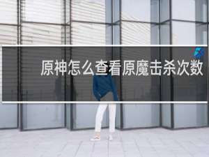 原神怎么查看原魔击杀次数