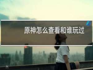 原神怎么查看和谁玩过