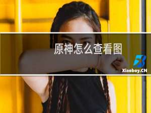 原神怎么查看图