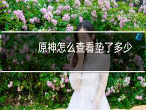 原神怎么查看垫了多少