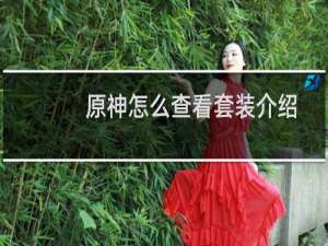 原神怎么查看套装介绍