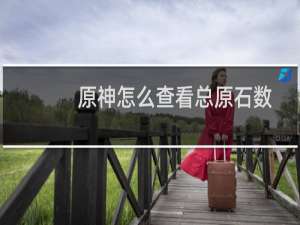 原神怎么查看总原石数