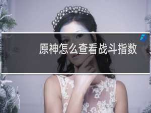 原神怎么查看战斗指数