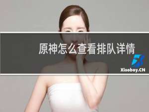 原神怎么查看排队详情