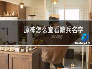 原神怎么查看散兵名字