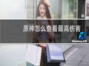 原神怎么查看最高伤害
