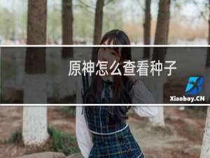 原神怎么查看种子