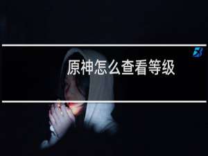 原神怎么查看等级
