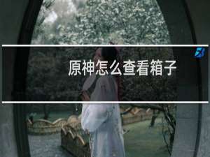 原神怎么查看箱子