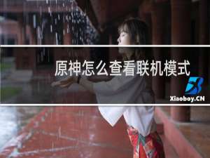 原神怎么查看联机模式