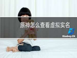 原神怎么查看虚拟实名