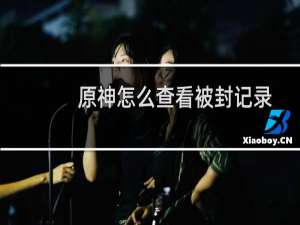 原神怎么查看被封记录