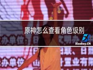 原神怎么查看角色级别