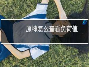 原神怎么查看负荷值