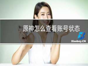 原神怎么查看账号状态