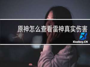 原神怎么查看雷神真实伤害