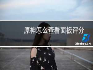 原神怎么查看面板评分