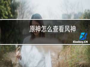原神怎么查看风神