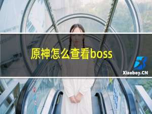 原神怎么查看boss