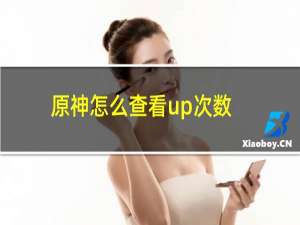 原神怎么查看up次数