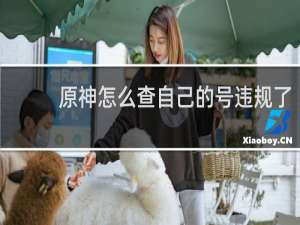 原神怎么查自己的号违规了