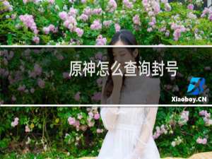 原神怎么查询封号
