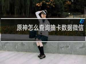 原神怎么查询抽卡数据微信