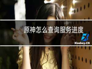 原神怎么查询服务进度
