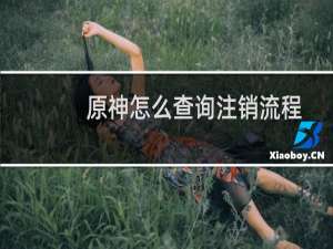 原神怎么查询注销流程