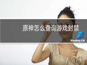 原神怎么查询游戏封禁