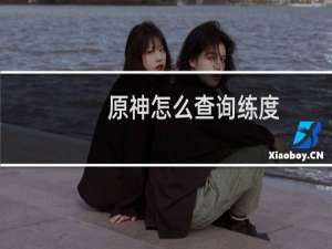 原神怎么查询练度