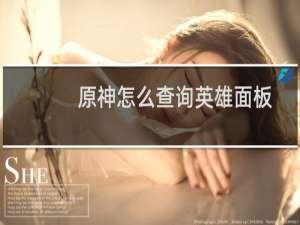 原神怎么查询英雄面板