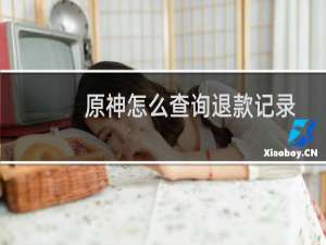 原神怎么查询退款记录