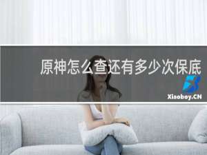 原神怎么查还有多少次保底
