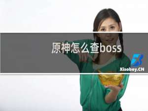 原神怎么查boss