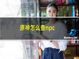 原神怎么查npc