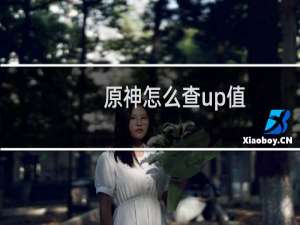 原神怎么查up值