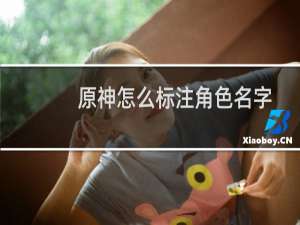 原神怎么标注角色名字