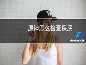 原神怎么检查保底