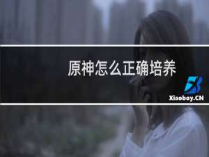 原神怎么正确培养