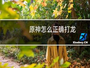 原神怎么正确打龙