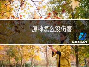 原神怎么没伤害