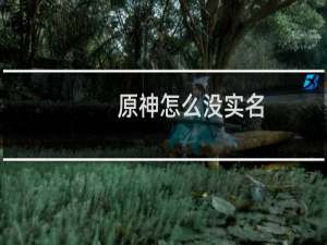 原神怎么没实名