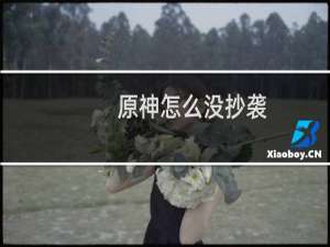 原神怎么没抄袭