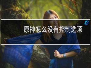 原神怎么没有控制选项