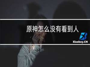 原神怎么没有看到人