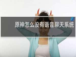 原神怎么没有语音聊天系统