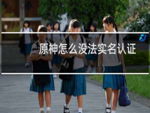 原神怎么没法实名认证