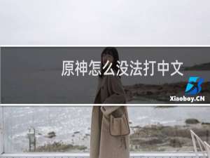 原神怎么没法打中文