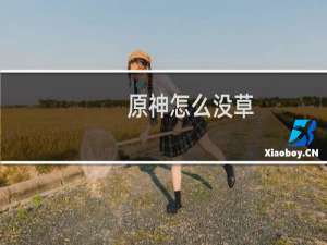 原神怎么没草